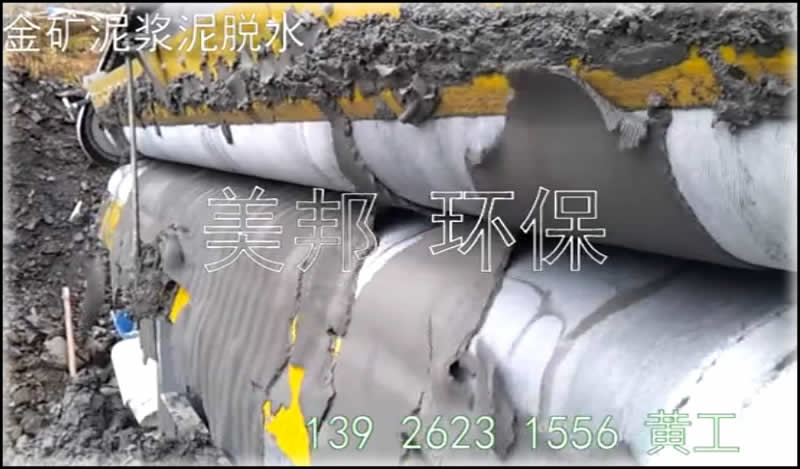 尾礦泥漿脫水處理設備